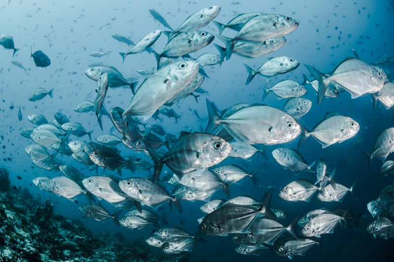 Advanced Open Water